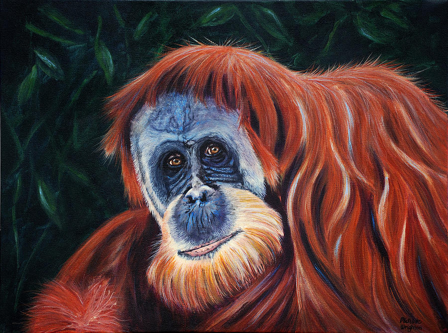Wildlife Painting - Wise One - Orangutan Wildlife Painting by Michelle Wrighton
