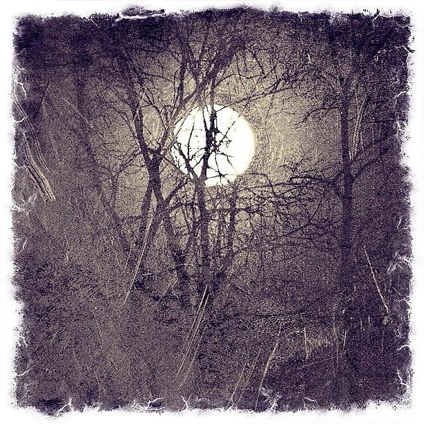 Wishing On The Moon Photograph by Mary Ann Reilly