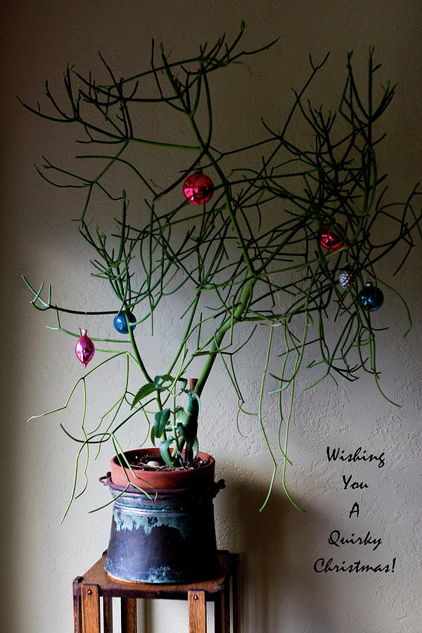 Wishing You a Quirky Christmas Photograph by Lorraine Devon Wilke