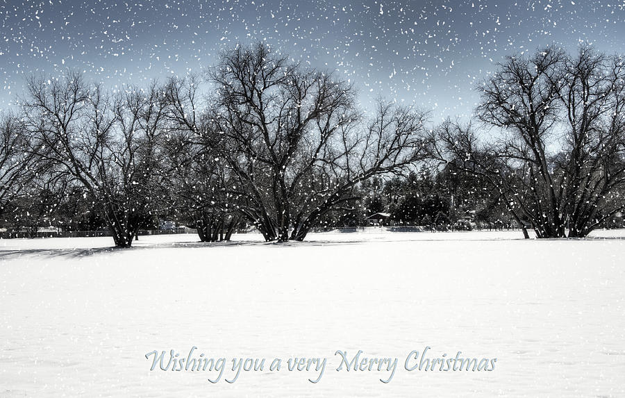 Winter Photograph - Wishing you a very Merry Christmas by Saija Lehtonen