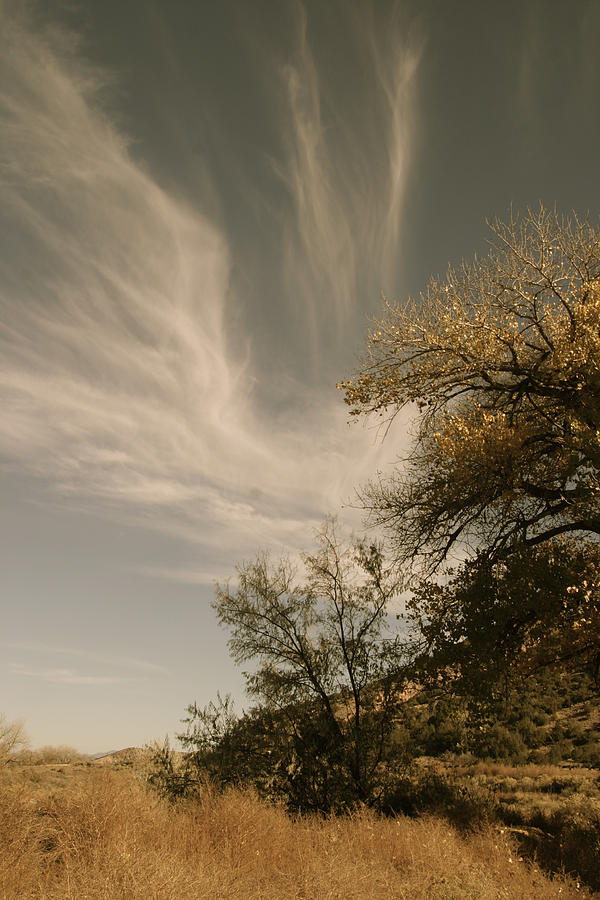 Wispy clouds Painting by Fran Wolok - Fine Art America