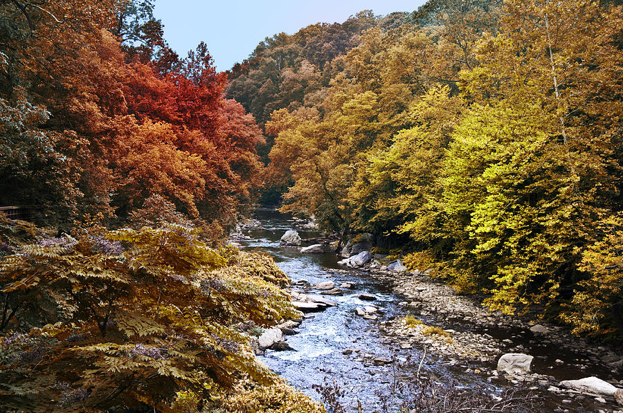 Wissahickon Creek in Fall Photograph by Bill Cannon