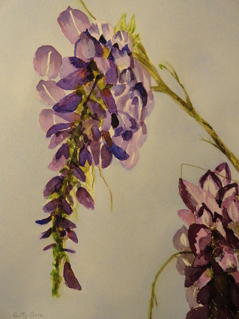 Wisteria Painting by Betty-Anne McDonald