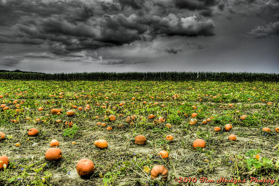 Halloween Photograph - With Halloween Darkness Comes by Timothy Hedges