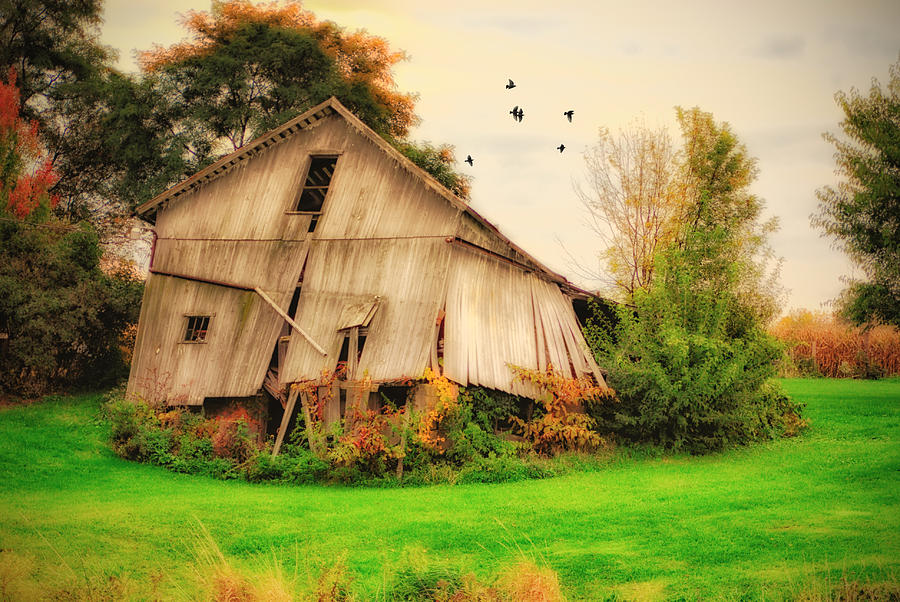 Withered Barn Photograph by Mary Timman
