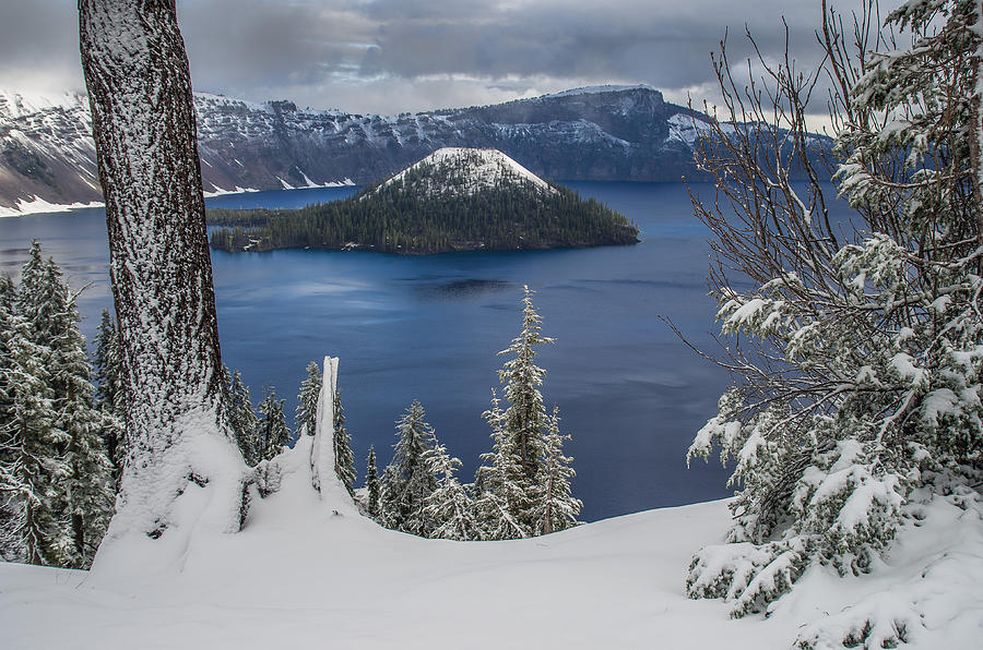 Wizard Island through Trees Photograph by Greg Nyquist