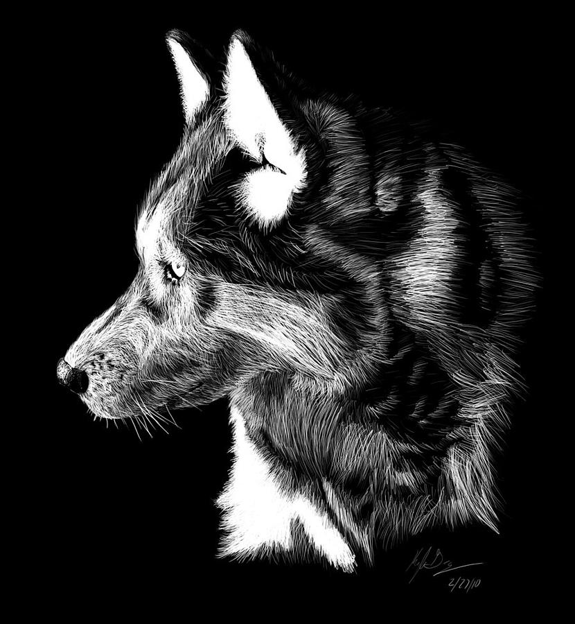 Scratchboard Wolf III | Large Metal Wall Art Print | Great Big Canvas