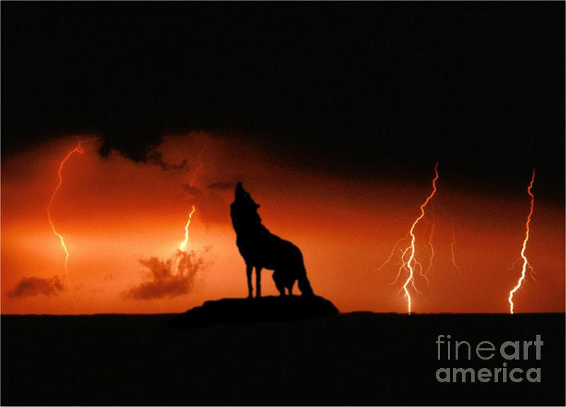 wolf of lightning