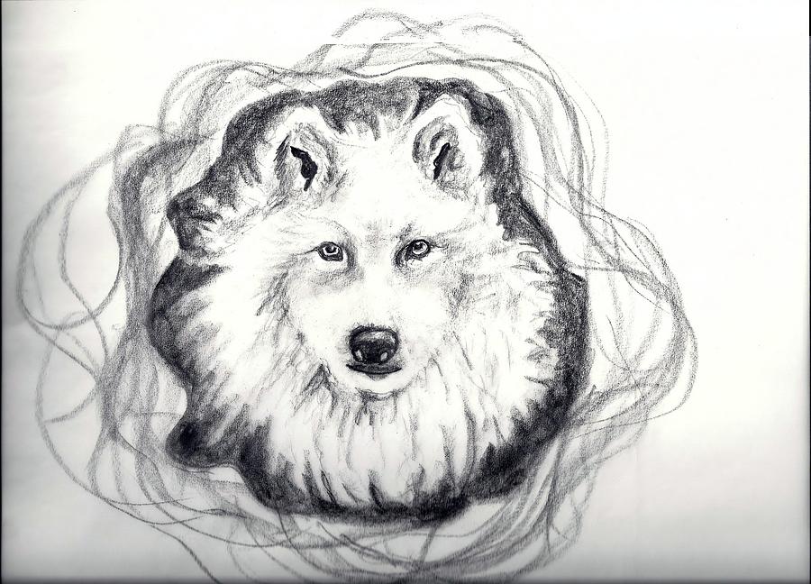 Wolf Totem Drawing by Carol Allen Anfinsen