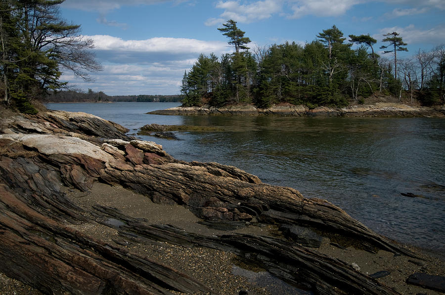 Wolfs Neck State Park Photograph by Paul Mangold