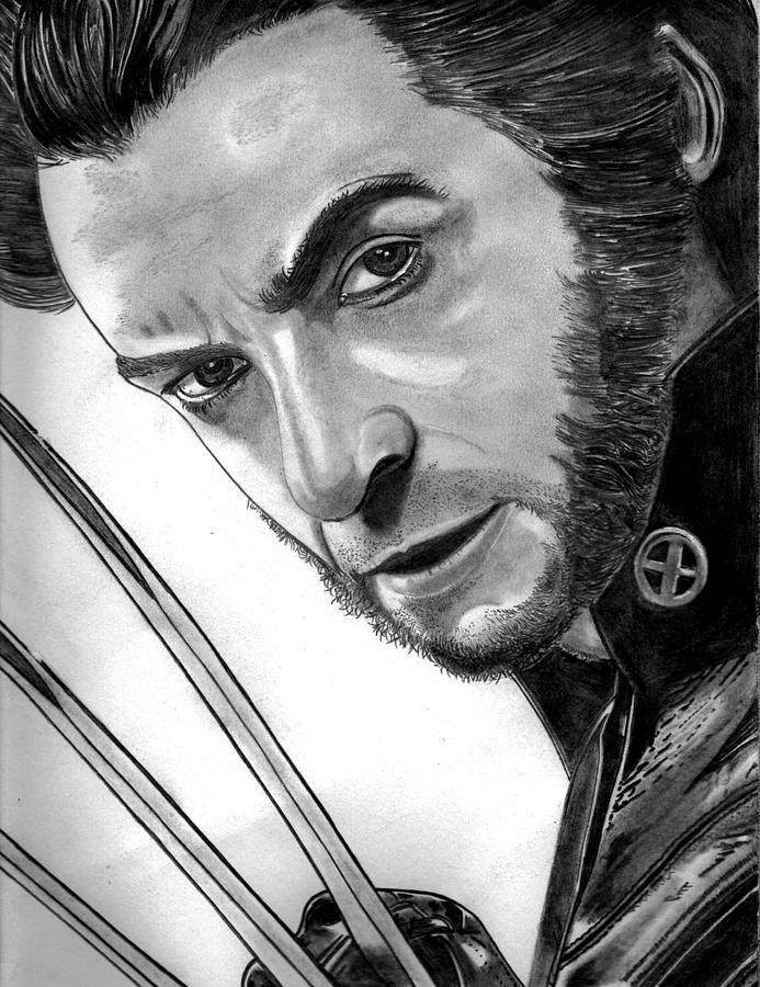 Hugh Jackman Drawing - Wolverine by Ralph Harlow