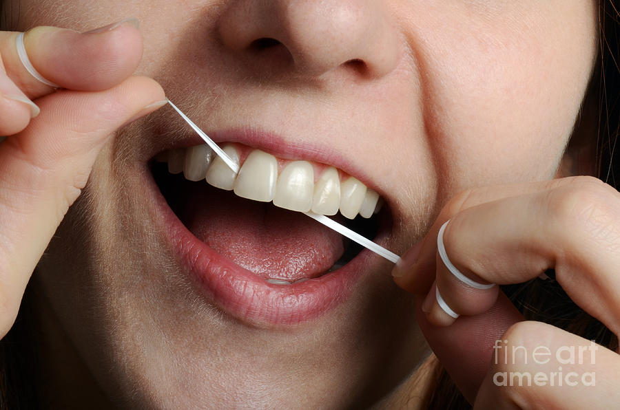 Woman Flossing Her Teeth Photograph by Photo Researchers Inc