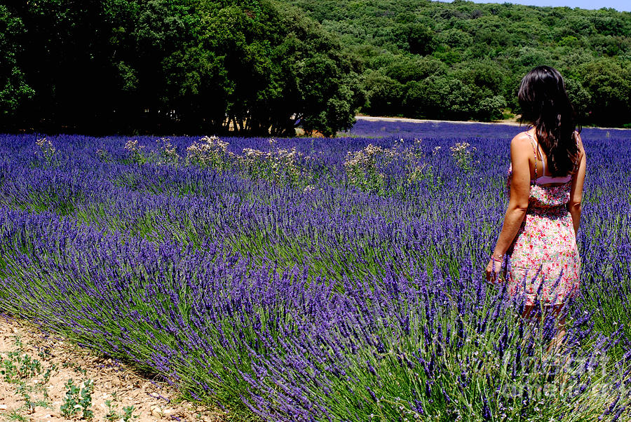 Woman in Lavender Fields Photograph by Andrea Simon