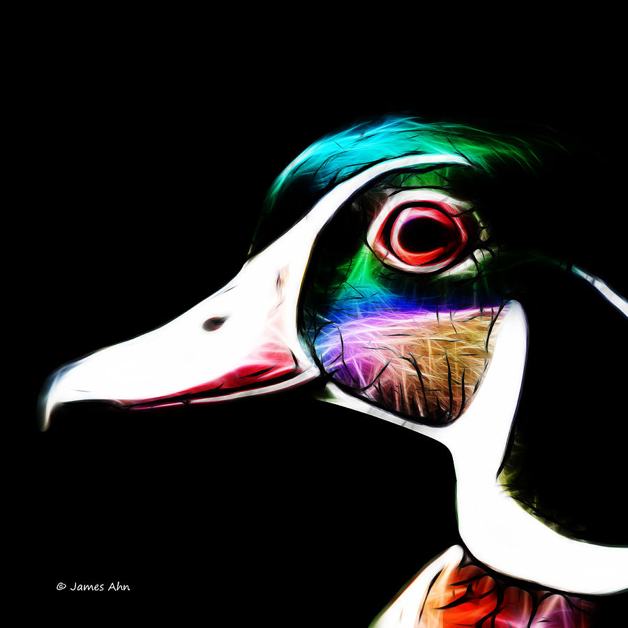 Wood Duck - Black Digital Art by James Ahn