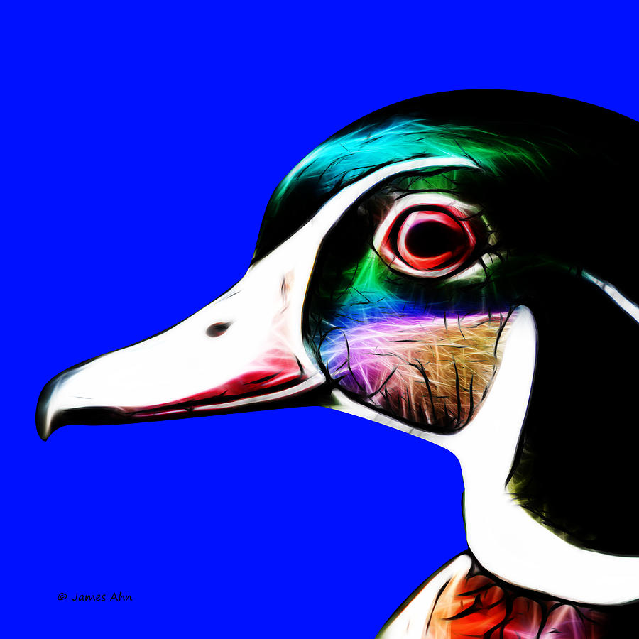 Wood Duck - Blue Digital Art by James Ahn