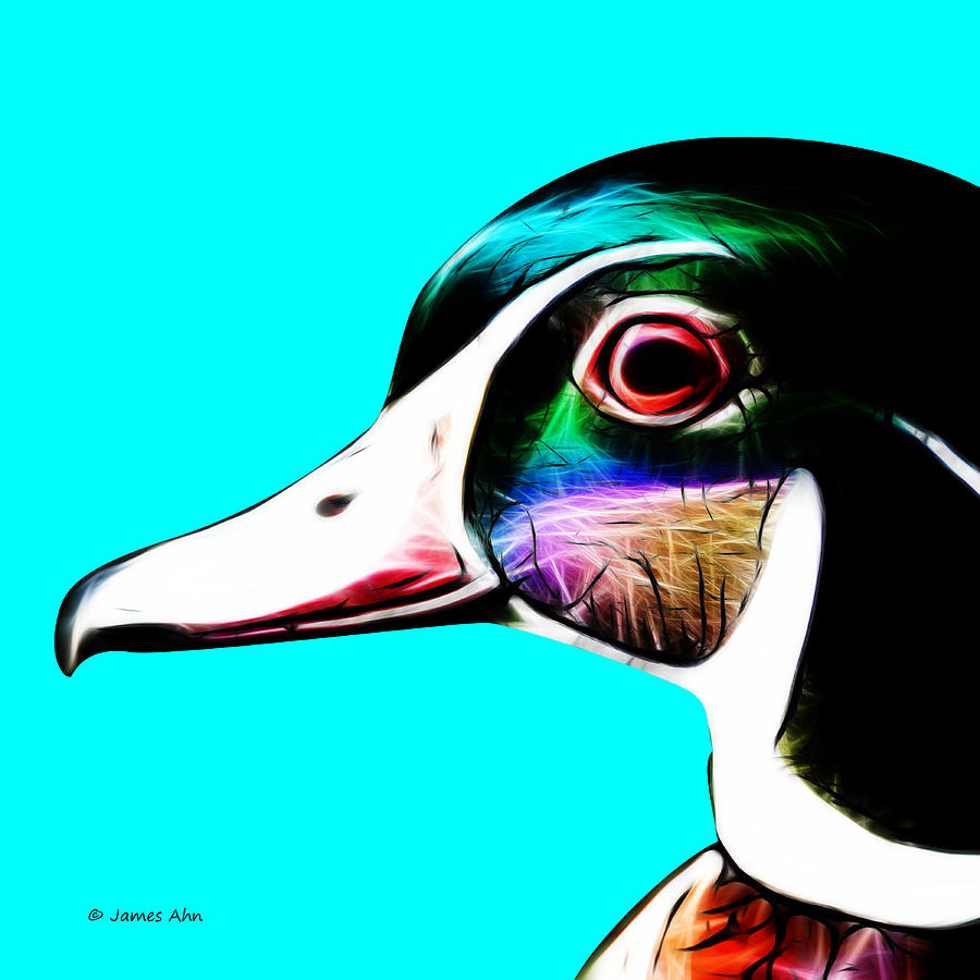 Duck Digital Art - Wood Duck - Cyan by James Ahn