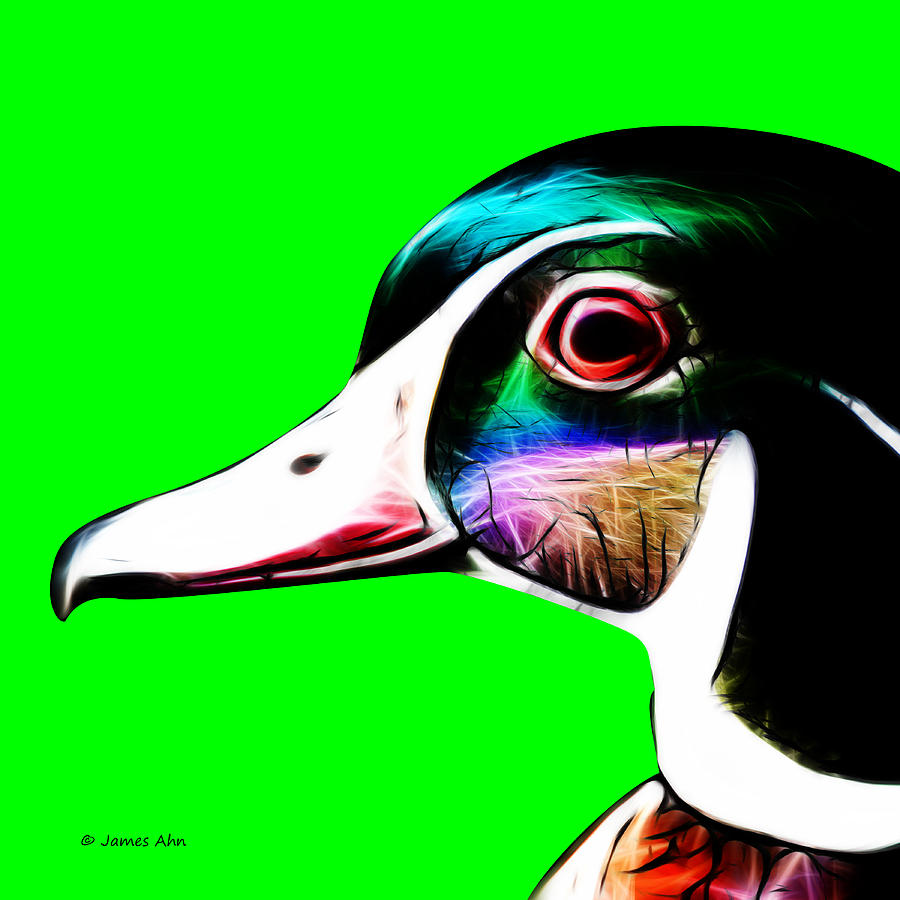 Duck Digital Art - Wood Duck - Green by James Ahn