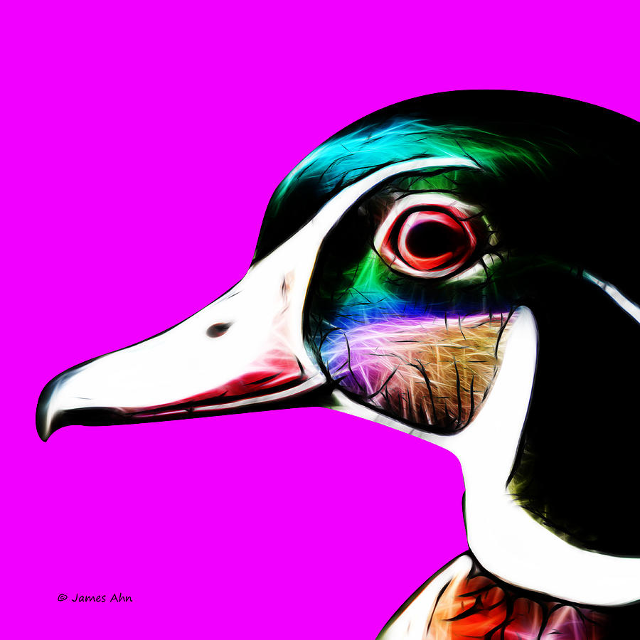 Wood Duck - Magenta Digital Art by James Ahn