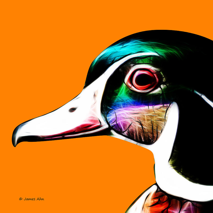 Wood Duck - Orange Digital Art by James Ahn