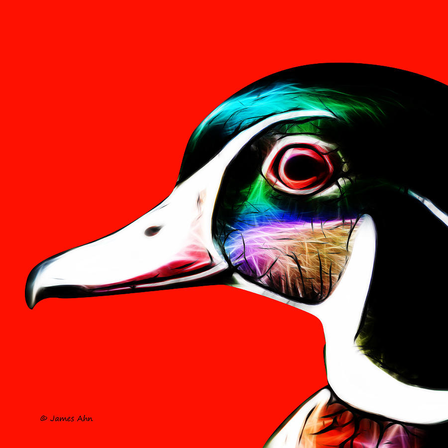 Wood Duck - Red Digital Art by James Ahn