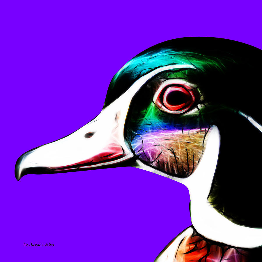 Wood Duck - Violet Digital Art by James Ahn