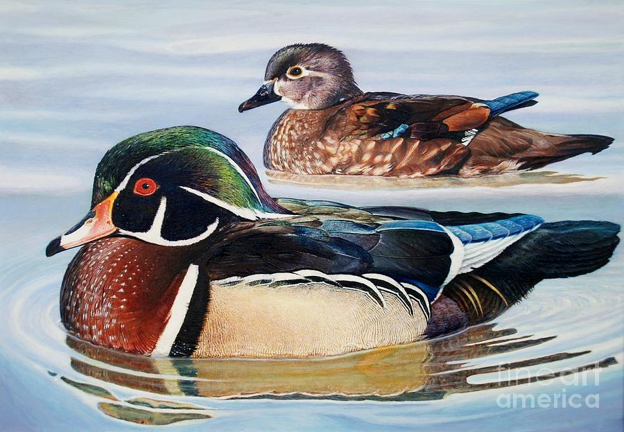 Nature Painting - Wood Ducks by Don Evans