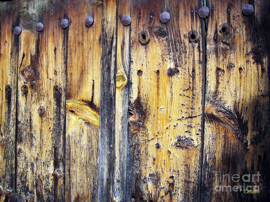 Wood Photograph by Eena Bo