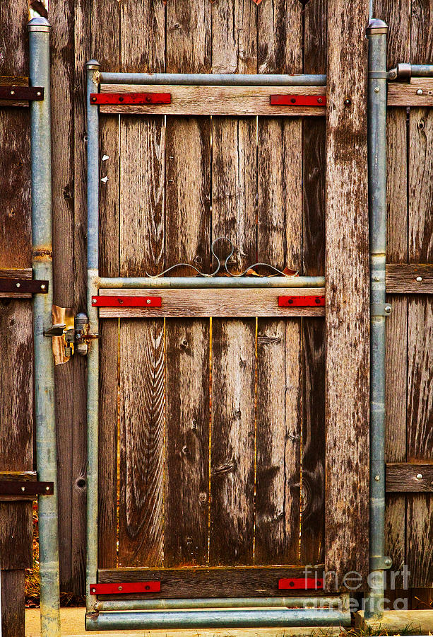 Wood Fence Door Photograph by James BO Insogna