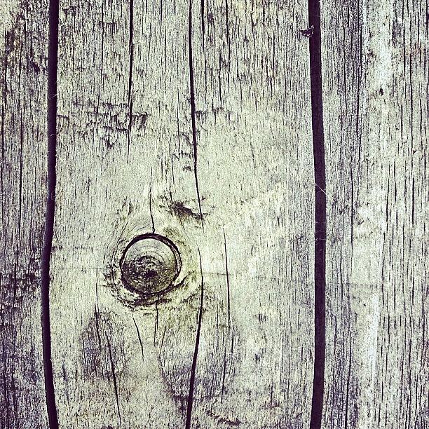 Tree Photograph - #wood #grain #life #tree #plant #knot by Dean Ferris
