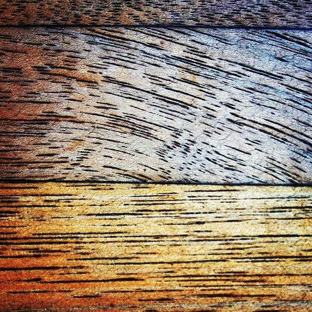Wood Grains Up Close Photograph by Neil Vermillion