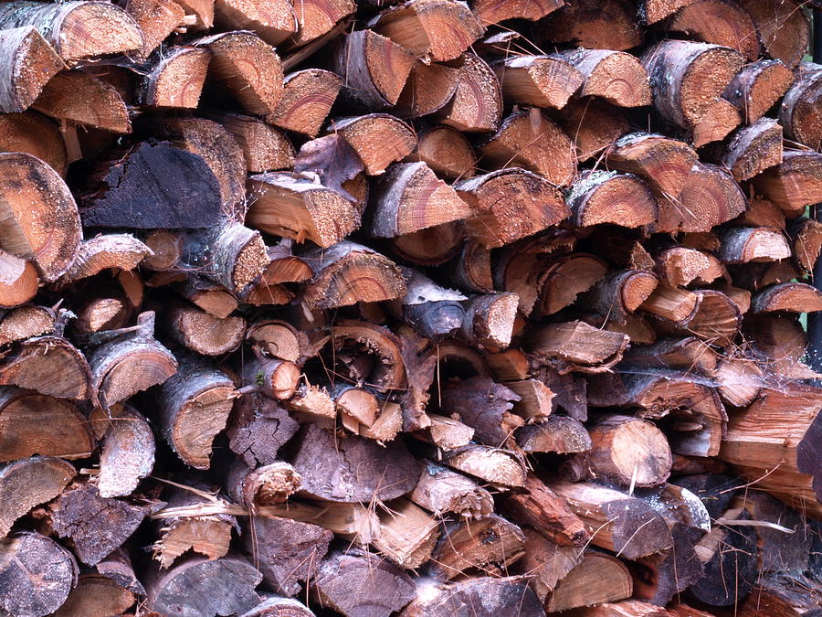 Wood Pile Photograph by Katherine Huck Fernie Howard