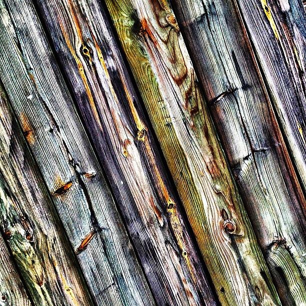 Architecture Photograph - Wood You? by Christopher Campbell