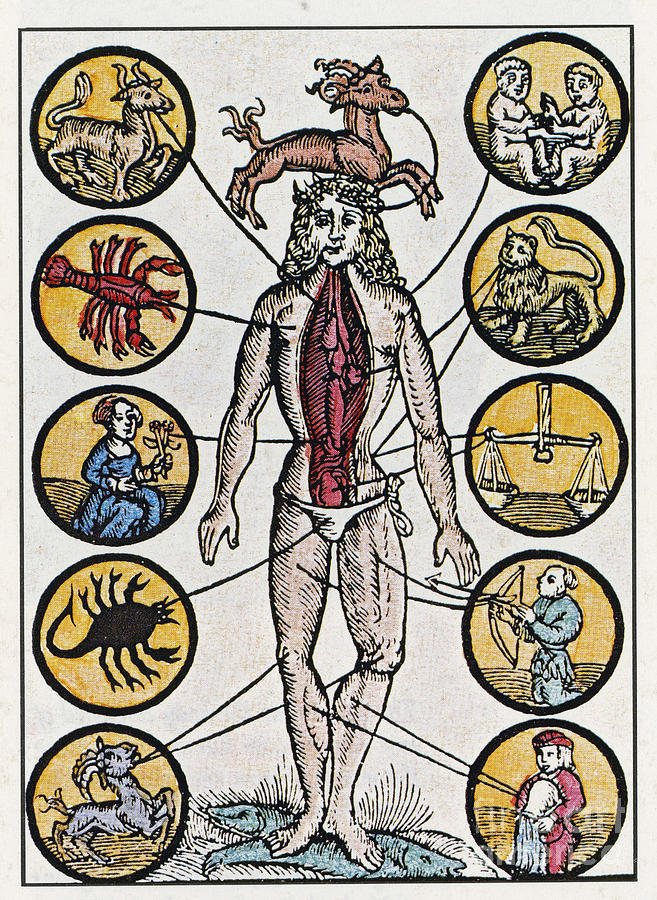 Woodcut With Medical Zodiac Photograph by Science Source
