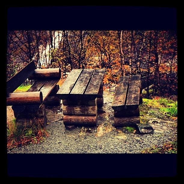 Nature Photograph - Wooden Bench And Table In The Forest! by Kiko Bustamante
