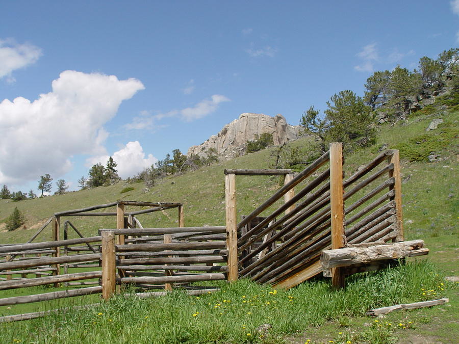 Wooden Cattle Loading Ramp Photograph by Elizabeth Sullivan