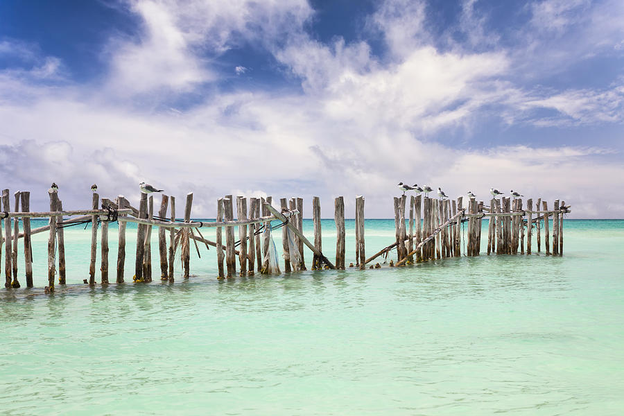 Wooden Fence Extending Into Ocean Photograph by Bryan Mullennix - Fine ...