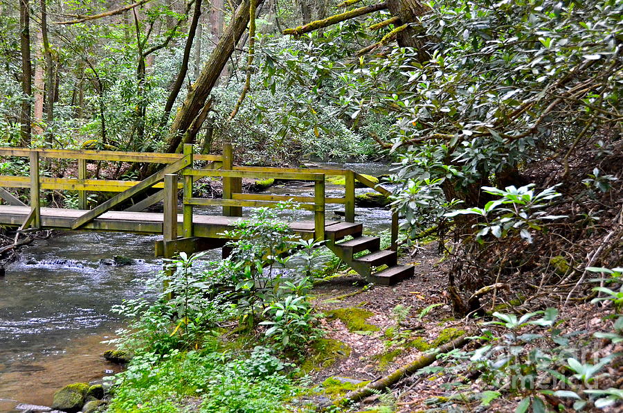 Wooden Footbridge Photograph by Carol  Bradley