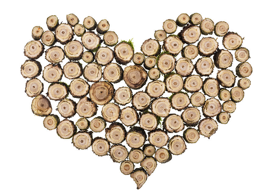 Wooden heart concept Photograph by Aleksandr Volkov - Pixels