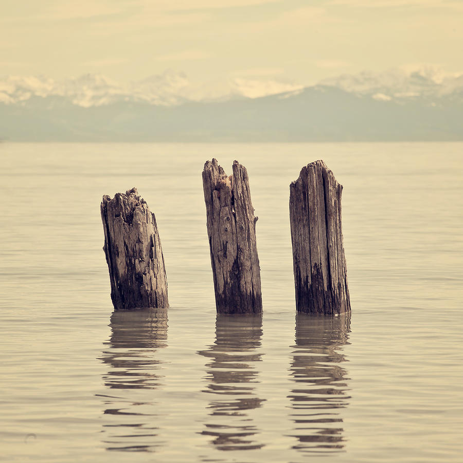 Wooden Piles Photograph by Joana Kruse