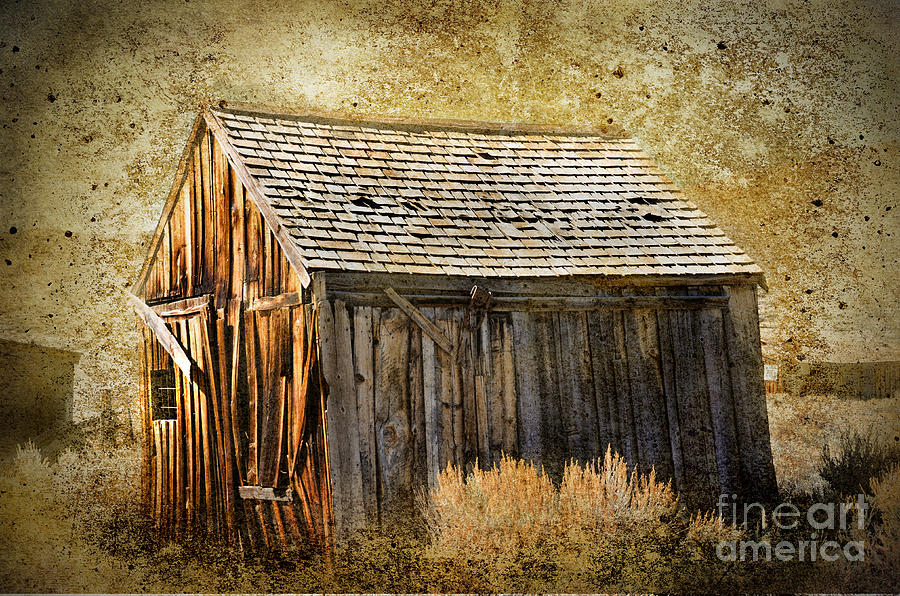Wooden Shack Photograph by Norma Warden