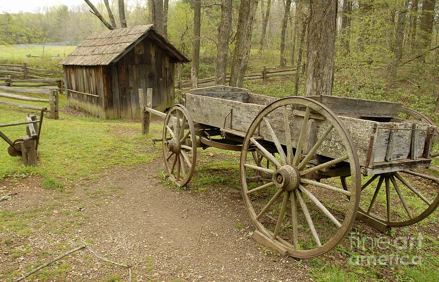 Wooden Wagon Photograph by Cindy Manero