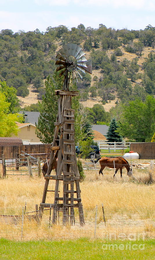 Wooden Windmill Photograph by Pamela Walrath