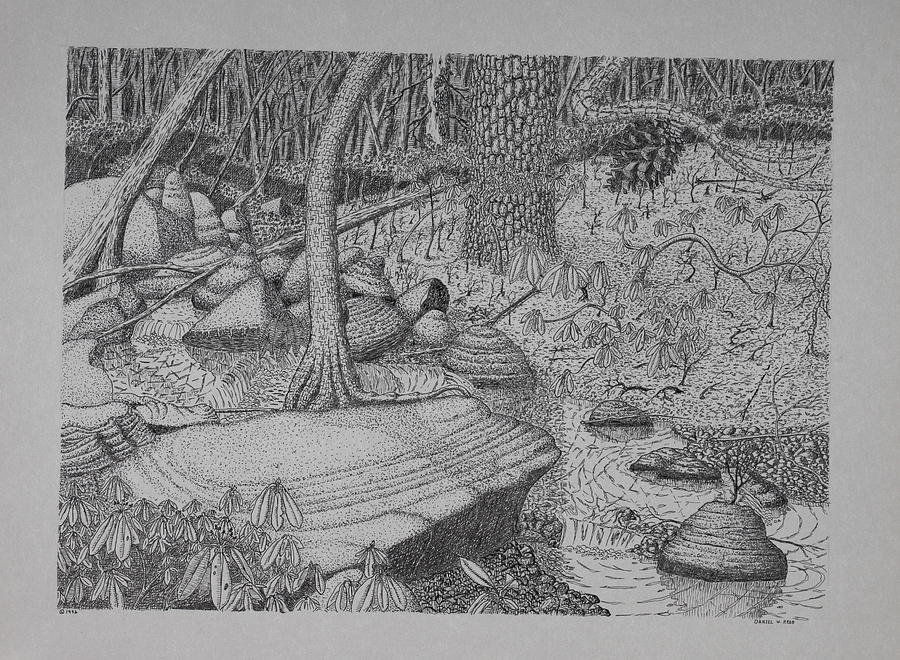 Woodland Stream Drawing by Daniel Reed