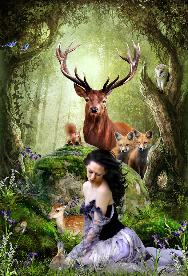 Woodland Wonders Digital Art By Julie L Hoddinott - Fine Art America