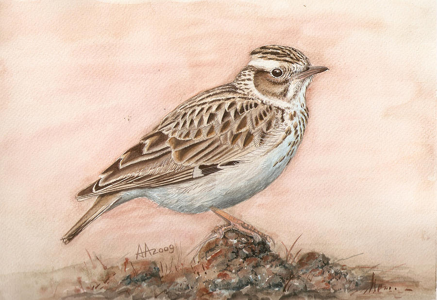 Woodlark in the day-break Painting by Deak Attila - Fine Art America