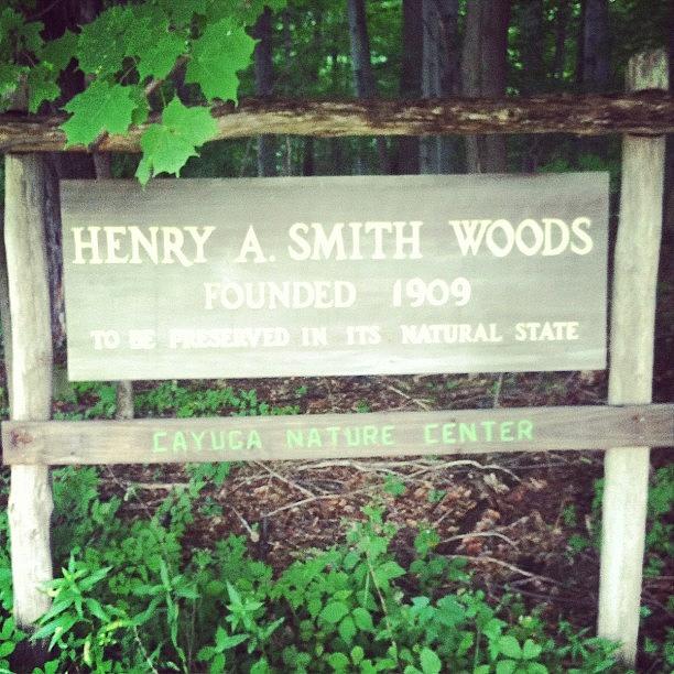 Nature Photograph - #woods #forest #nature #sign #signage by Jenna Luehrsen