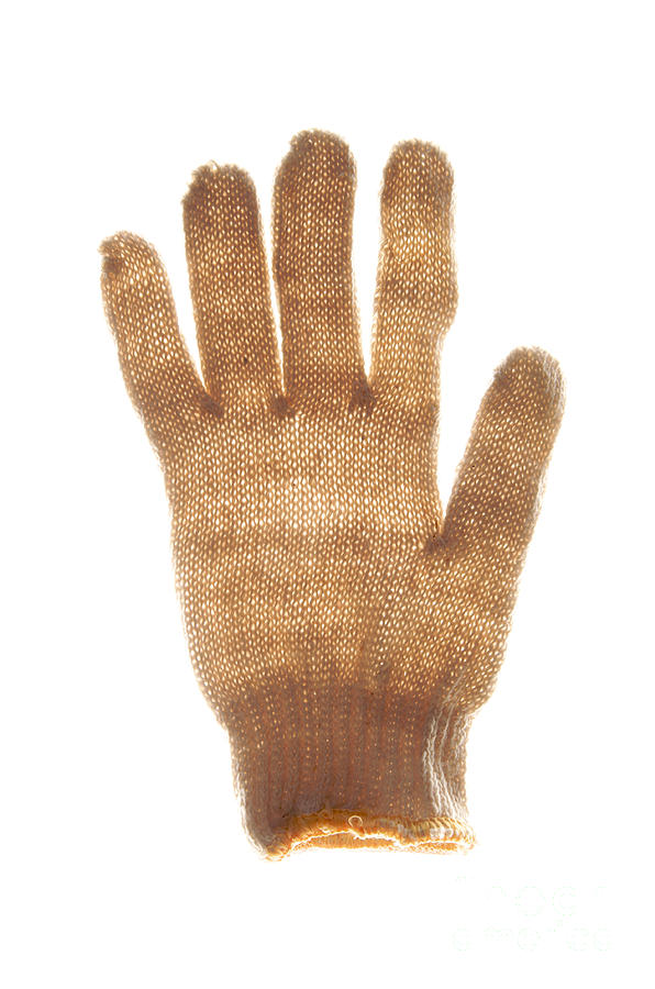 Glove Photograph - Woolen glove by Bernard Jaubert