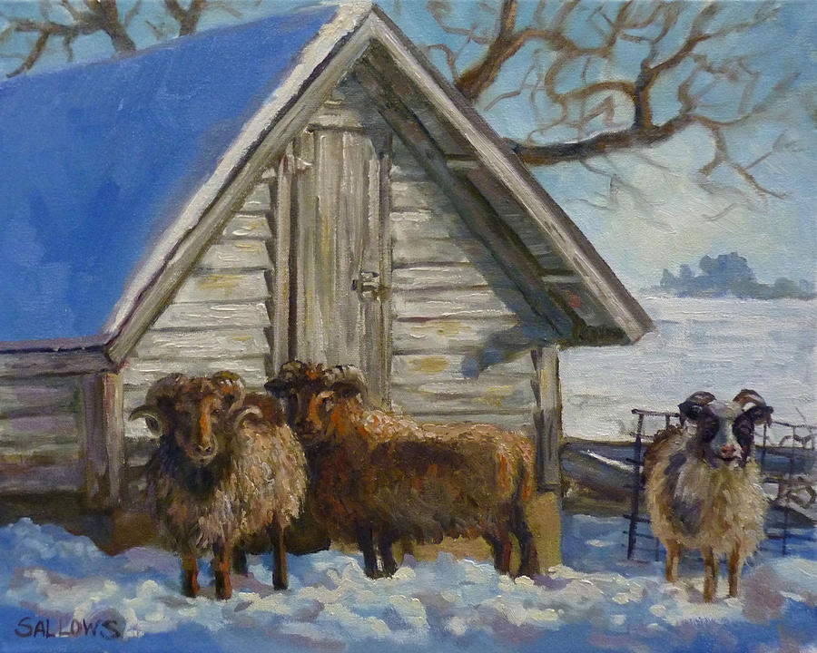 Wooly Sheep Painting by Nora Sallows