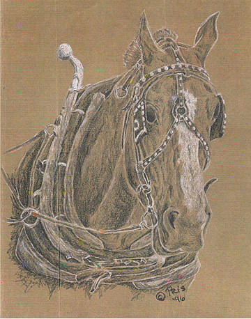 Horse Drawing - Workin Hard by Pris Hardy