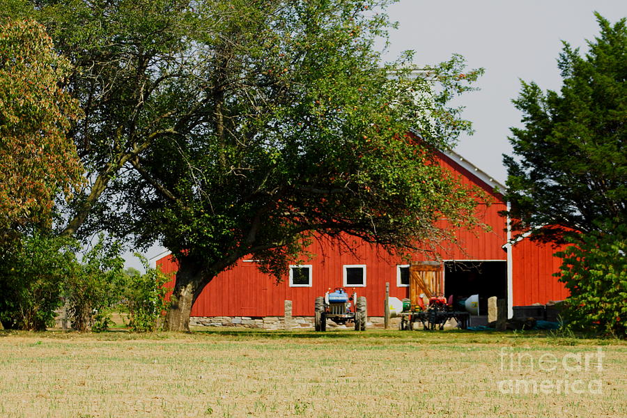 Working Barn  Photograph by B Rossitto